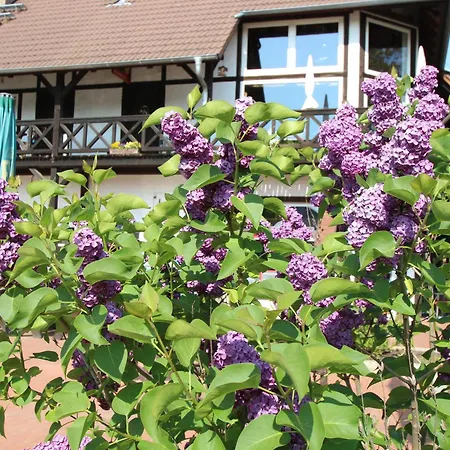 Radler-scheune Gasthuis *