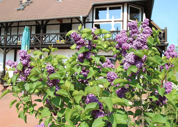 Radler-scheune Gæstehus *